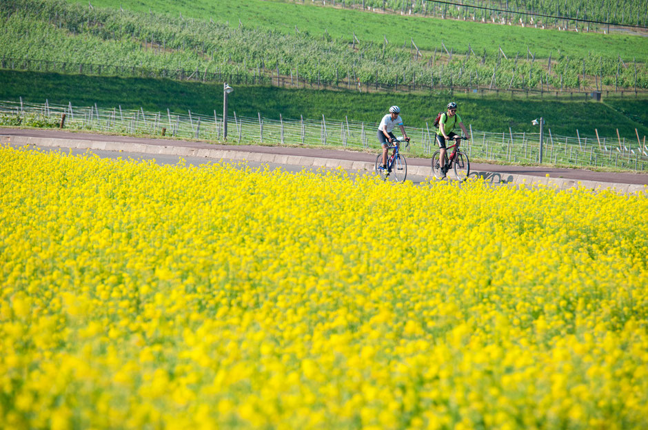 cycle-trips-japan-hokkaido