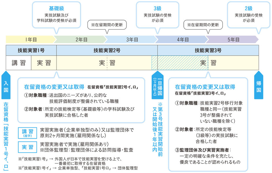 実習の流れ図解