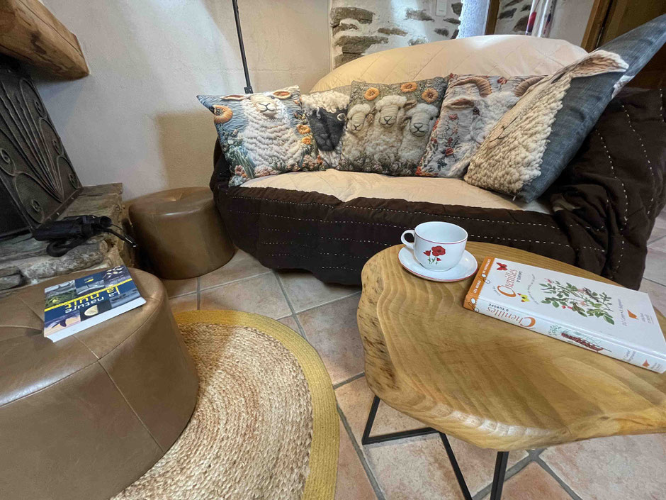 salon gite de liou dans les Cévennes