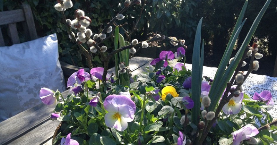 Impressionen aus meinem Garten 