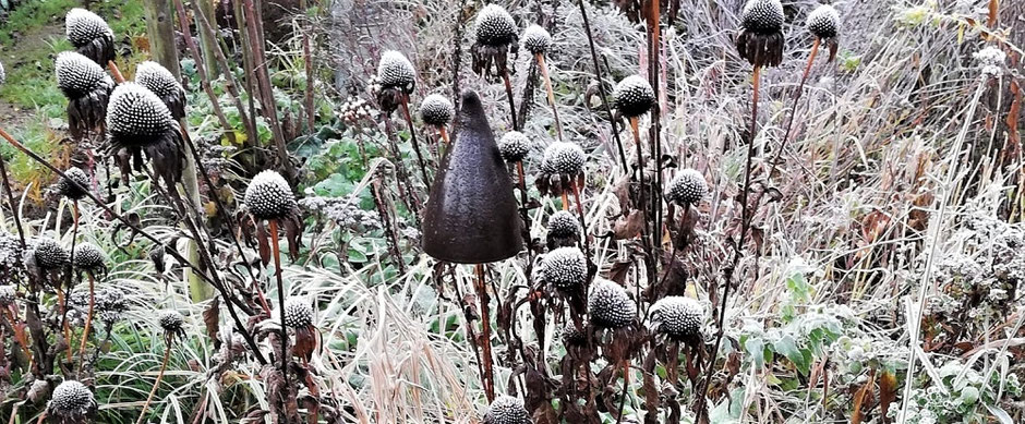 Überwinterung Nürzlinge im Garten