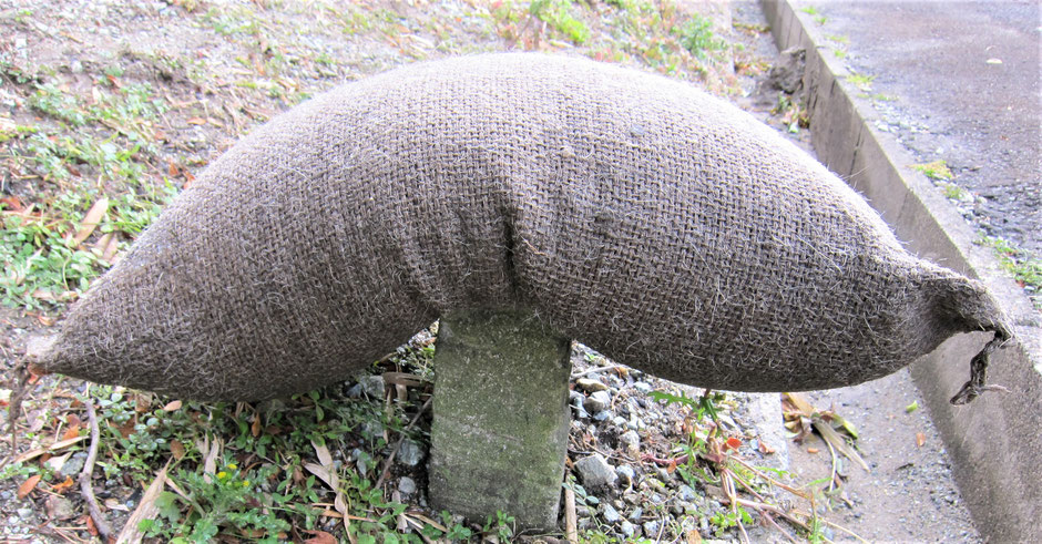 格安な土のいらない吸水膨張土のうのご紹介です。災害に備え、普段は物置に段ボールごとにしまっておき。川が氾濫した時に、箱から取り出さいてお店や自宅の前に設置すると、押し寄せた水を吸収して膨らみ宅内への水の侵入を防ぎます。