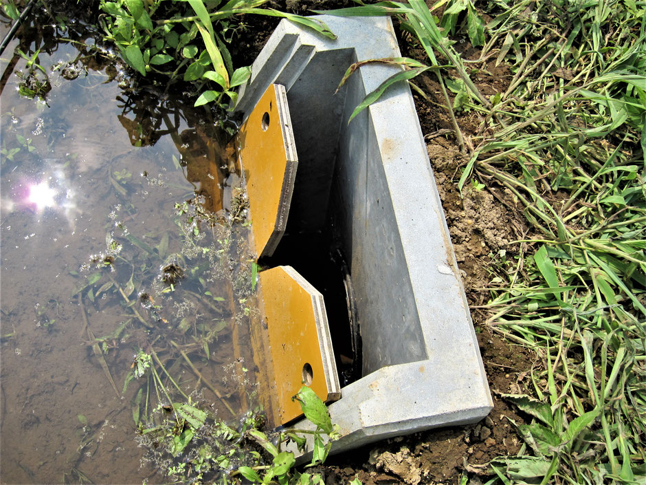 豪雨から街を守る田んぼダム トーヨー産業 株 暗渠管 暗渠排水全般 法面資材等