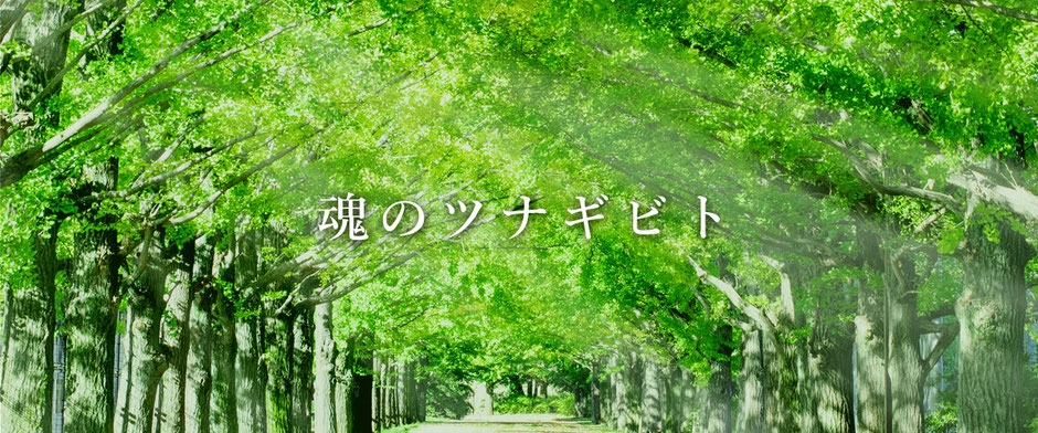 魂のツナギビト