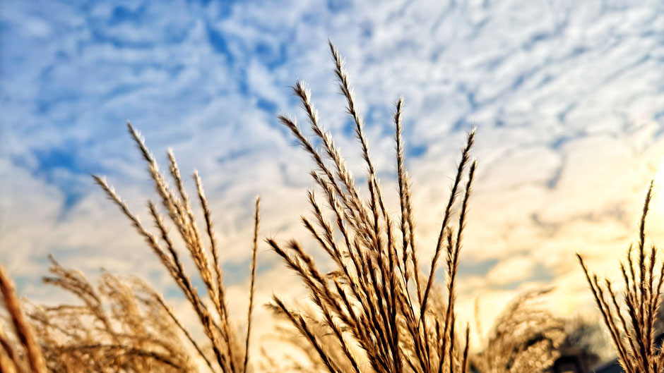 Sonnenaufgang: Die Sonne geht irgendwo immer auf. Psychotherapie Gladbeck. - Gelassenheit macht frei.