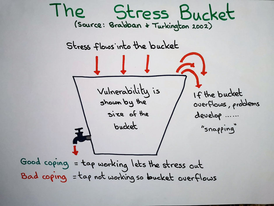 If your stress bucket is full up you won't have any willpower, motivation or energy to do the things required to keep the weight off. 