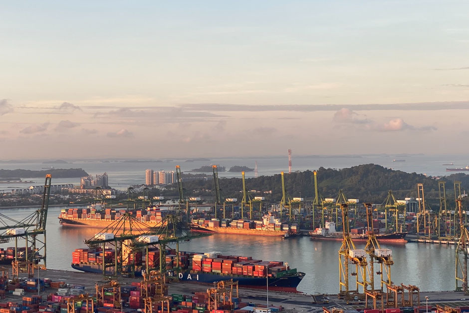 There are consequences to having the world's second-busiest port on our doorstep.