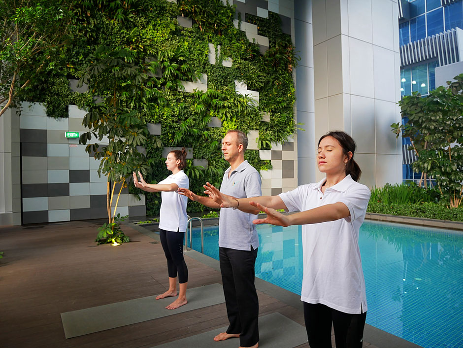 The levitise team performing the qi gong energy push at sbf center