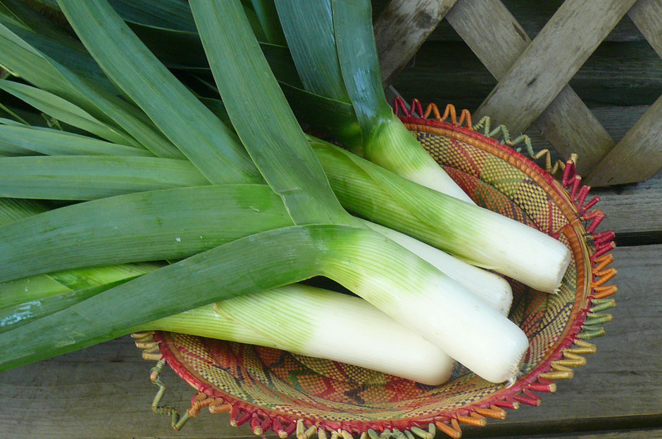 Organic leeks are sweeter and tastier than non organic leeks and have been scientifically proven to both prevent and fight cancer