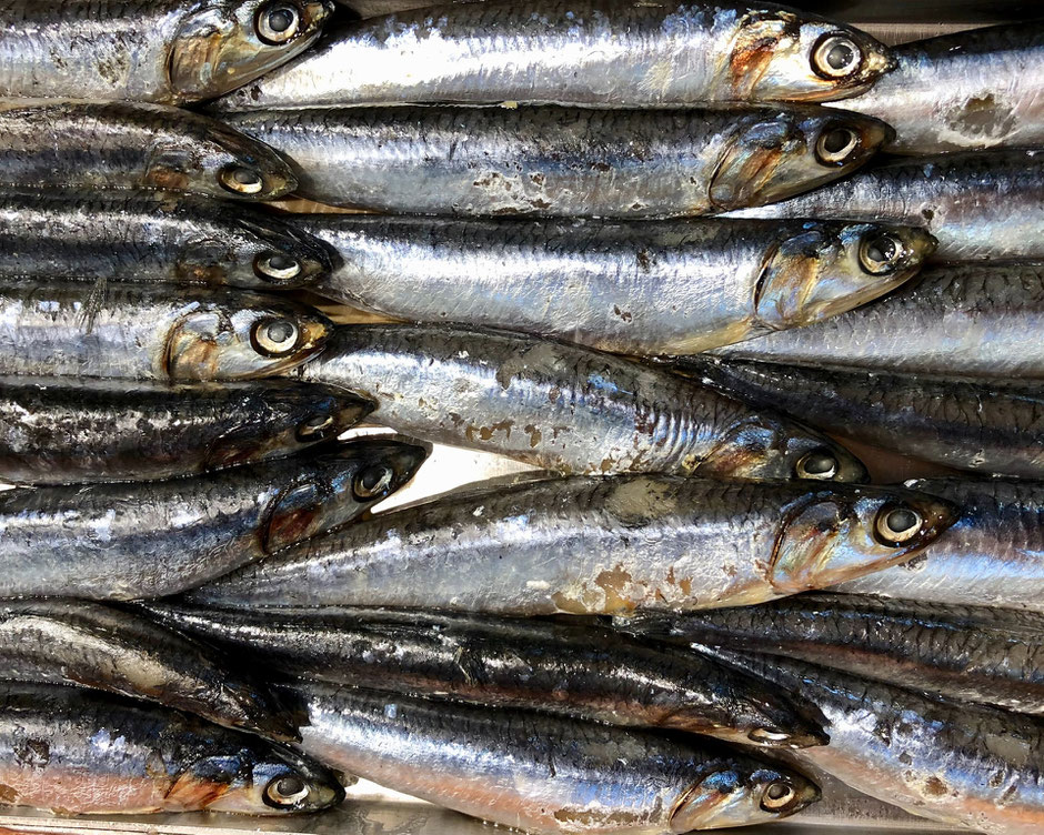 Small, wild caught fish, like anchovies, mackerel, herring and sardines are better for your health, less toxic than larger fish, and more sustainable.