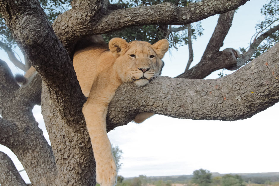 This is how chilled out you'll feel after doing the alternating leg drop.