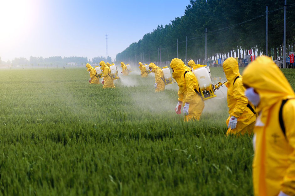 Upgrade your health by reducing your toxic load. Ignoring the science what does your common sense radar tell you about pesticide spraying on your food when you see this picture?