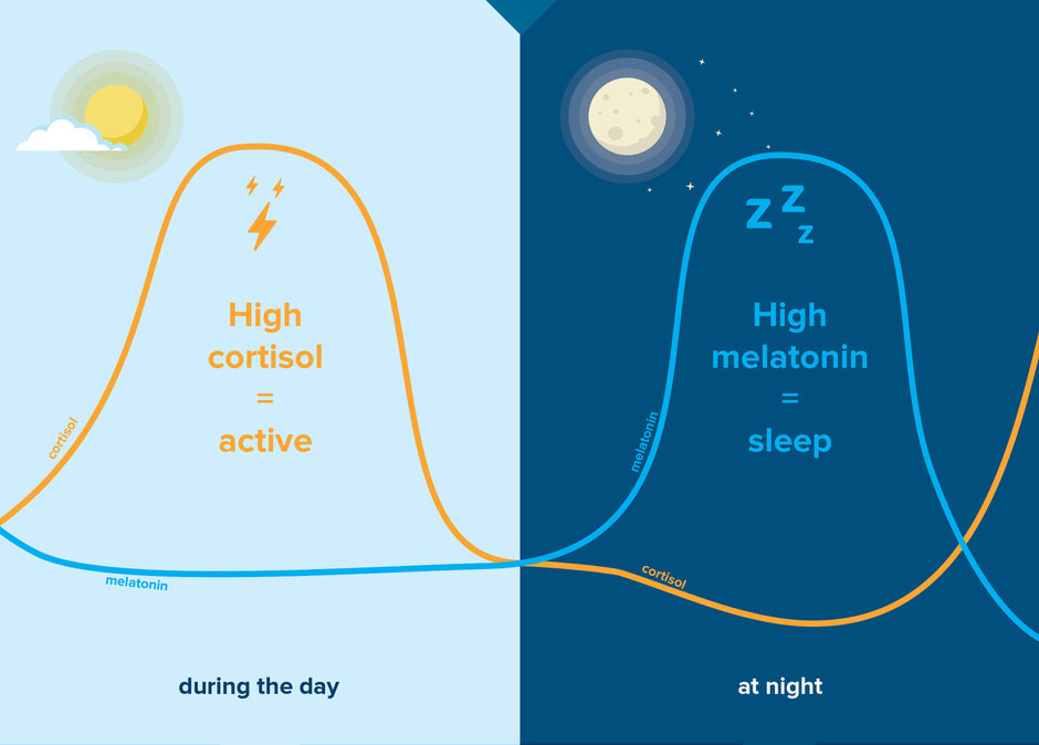 The Cortisol and Melatonin Dance