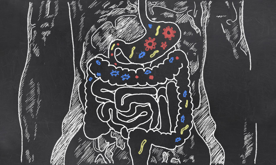 Our gut contains undigested food, parasites, bacteria an fungi. Ideally this is where we want them to stay - outside the body!