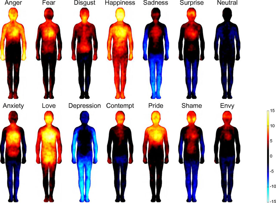 Research published in 2014 in the Proceedings of the National Academy of Sciences journal reveal that different emotional states are associated with topographically distinct and culturally universal bodily sensations.