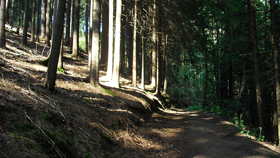 Das wildromantische Ölschnitztal