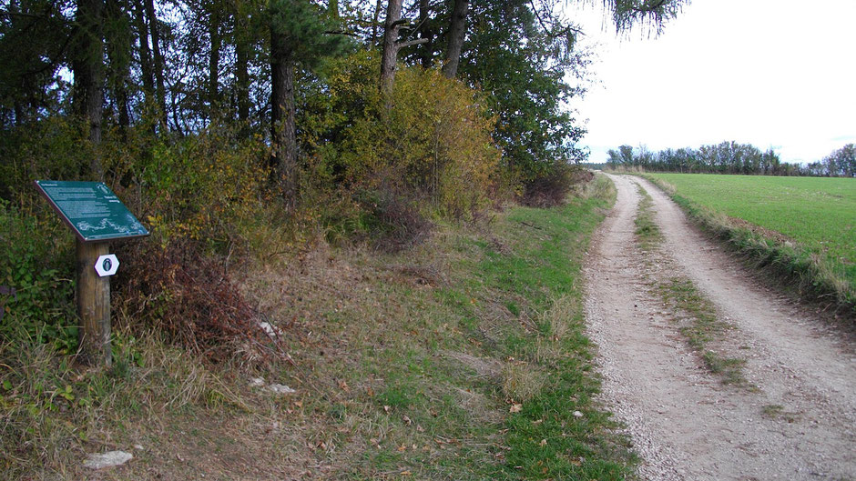 Auf dem Jean-Paul-Weg, Stationstafel 151 "Das Menschen-Ich" auf dem alten Markgrafenweg