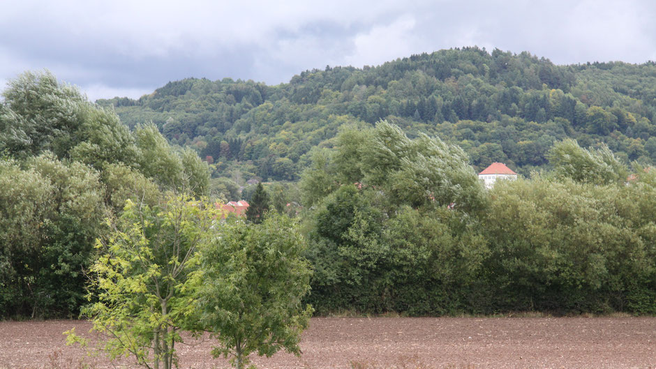 Schloss Goldkronach