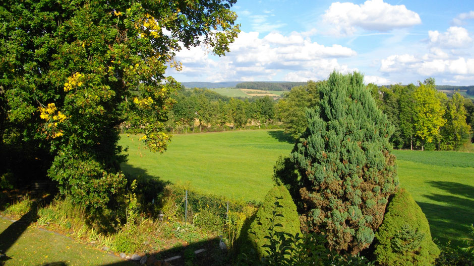 Ausblick von der Rollwenzelei auf das Fichtelgebirge