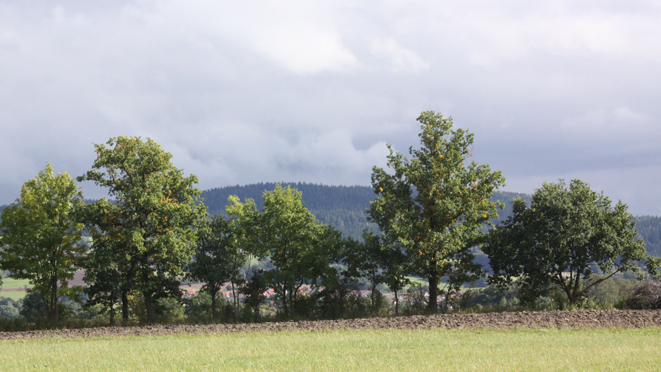 Das Fichtelgebirge hinter Goldkronach