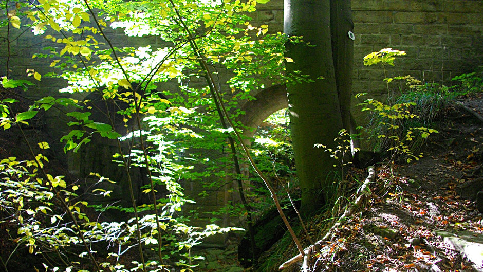 Am Westende des Teufelsloch-Weges steht die Sandsteinbrücke.
