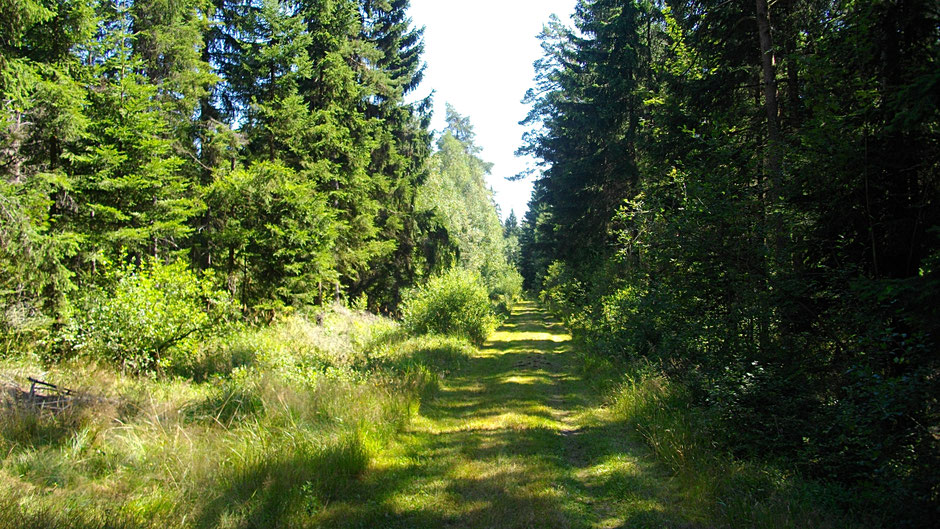 Auf dem Jean-Paul-Weg, hinter Nagel