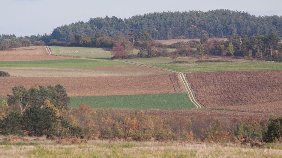 Blick zurück über Alladorf, unten im Lochautal, auf den Markgrafenweg