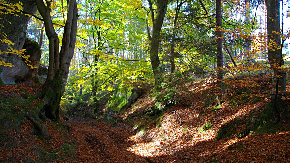 Auf dem Jean-Paul-Weg von Oberwaiz zum Teufelsloch
