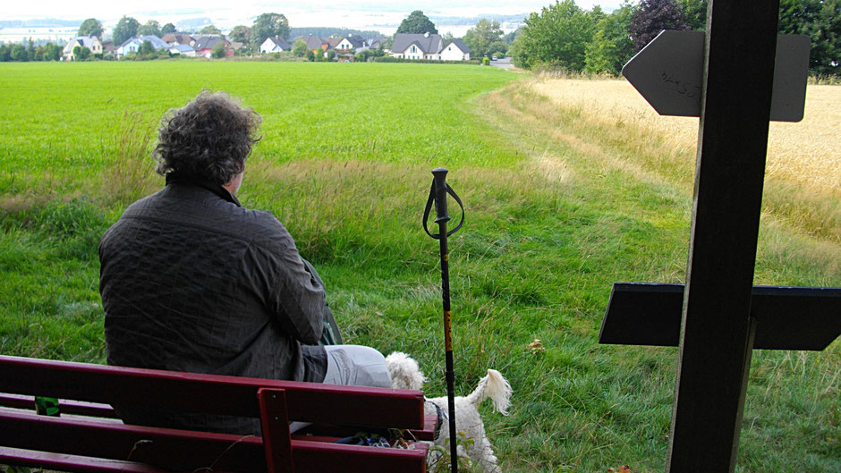 Auf dem Jean-Paul-Weg, Stationstafel 26 "Theater des Lebens", Blick auf Hallerstein