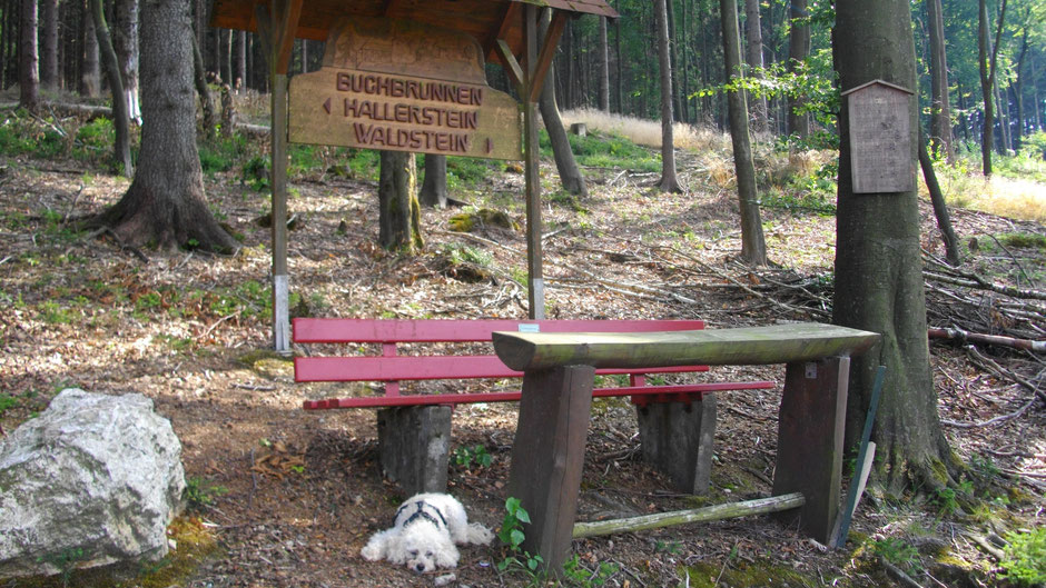 Auf dem Jean-Paul-Weg, Buchbrunnen, zwischen Hallerstein und Waldstein