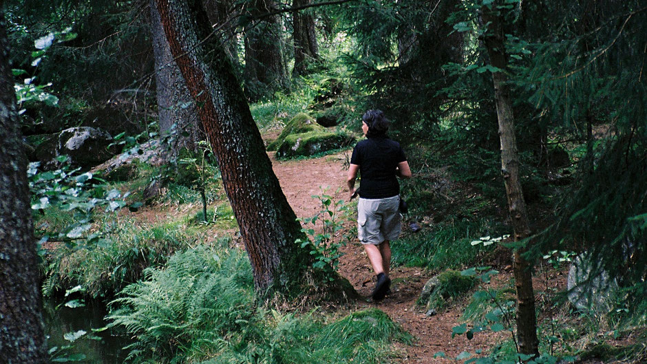 Auf dem Jean-Paul-Weg, Tannenzapfenweg im Thuswald