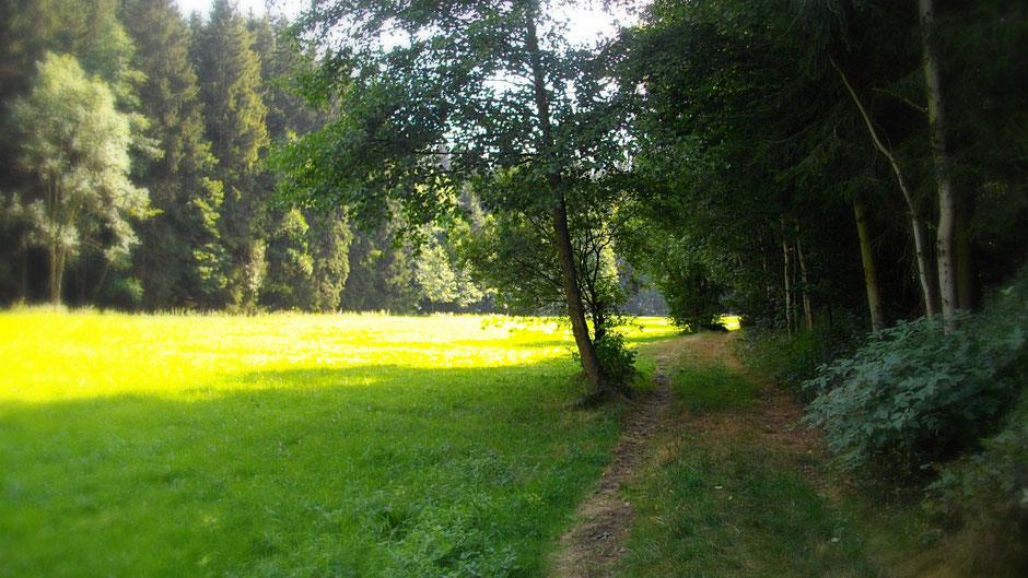 Auf dem Jean-Paul-Weg, durch das Ölschnitztal