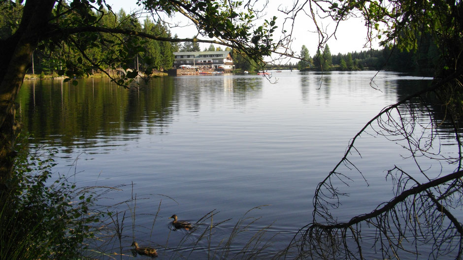 Der Fichtelsee