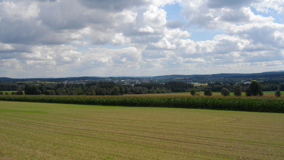 Auf dem Jean-Paul-Weg, vor Weißenstadt