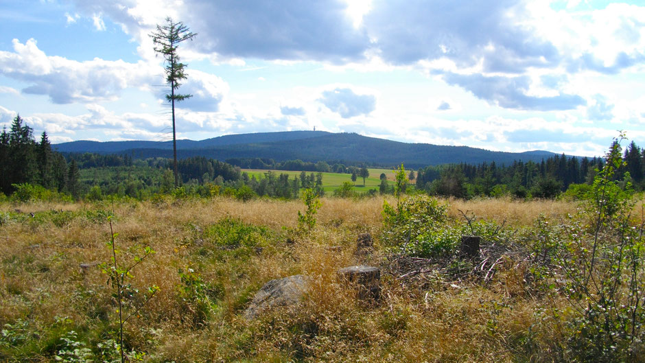 Auf dem Jean-Paul-Weg, "Auf der Hut" vor dem Dorf Grub