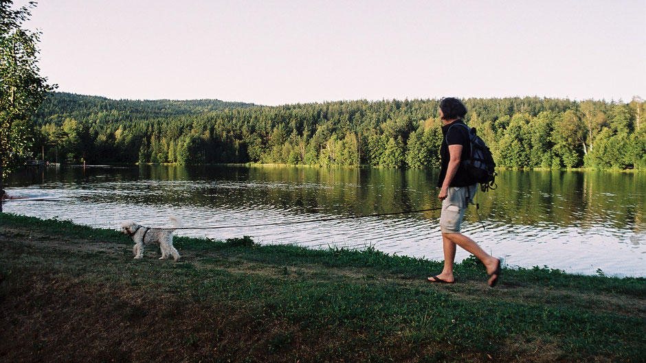 Um den Nagler See