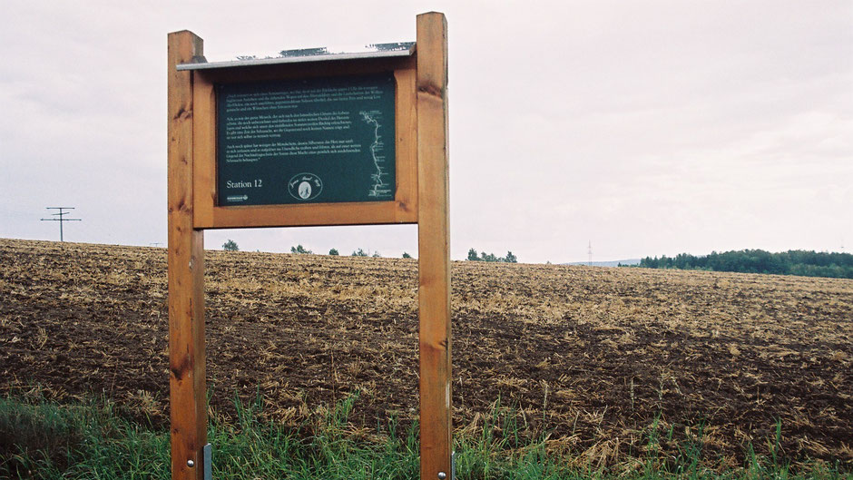 Auf dem Jean-Paul-Weg, Stationstafel 21 oder 12, hinter dem Gewalt-Dorf Schwingen