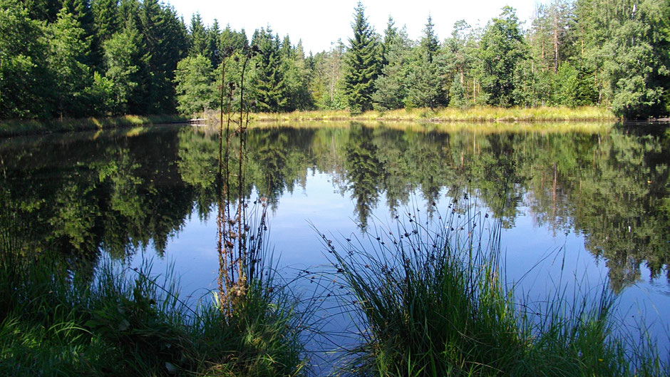 Der Grenitzsee