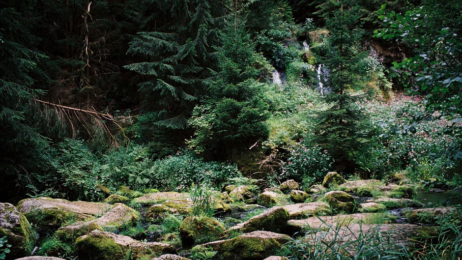 Auf dem Jean-Paul-Weg – der Thusfall im Thuswald