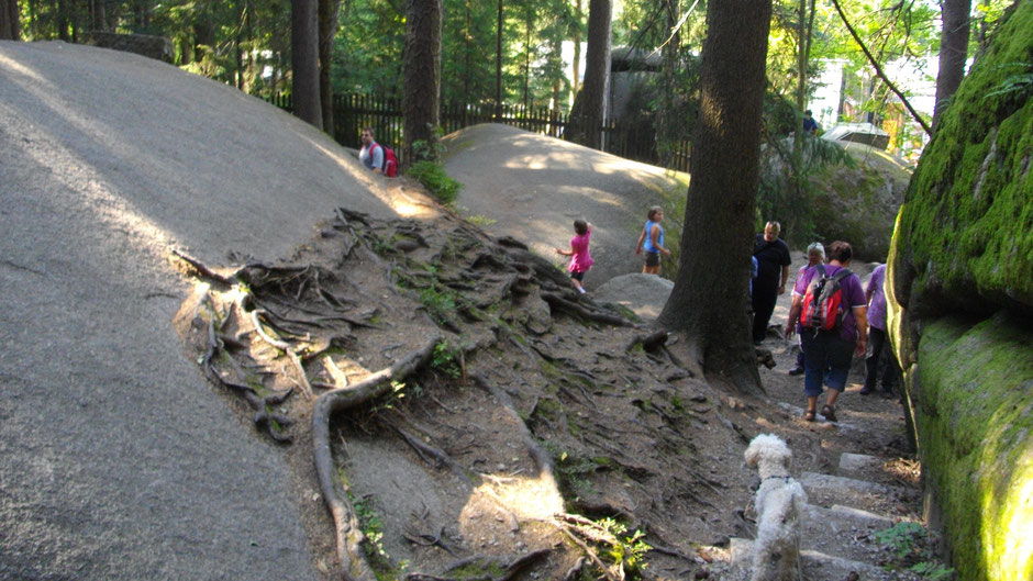 Im Felsenlabyrinth, Kinder rutschen die Felsen hinunter