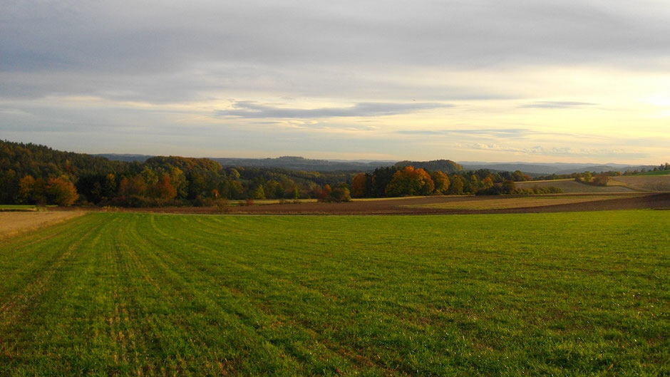 Der alte Markgrafenweg mit Blick auf die Neubürg