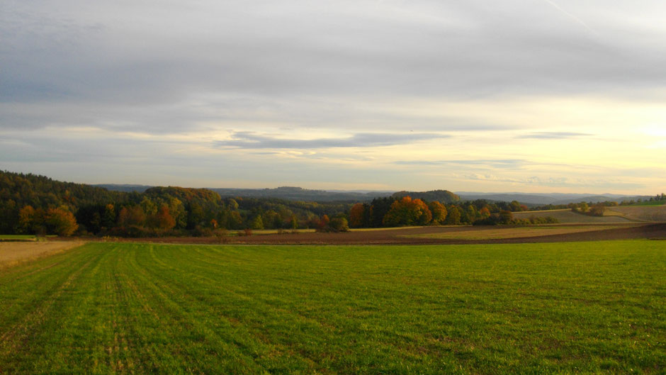 Arkadienweg Neustädtlein - Braunstein - alter Markgrafenweg - Alladorf (sehr schön)