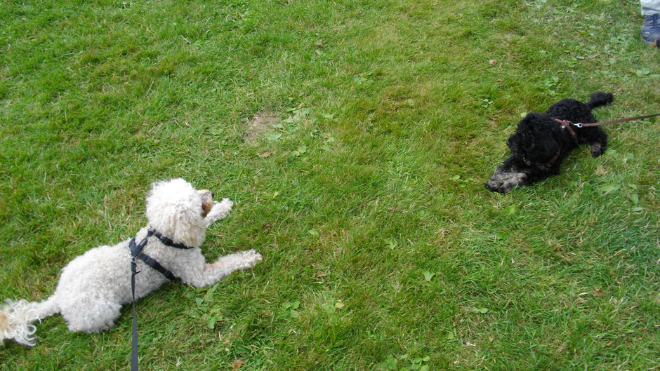 Fidel und Paul