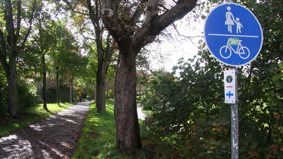 Auf dem Jean-Paul-Weg entlang am Mistelbach