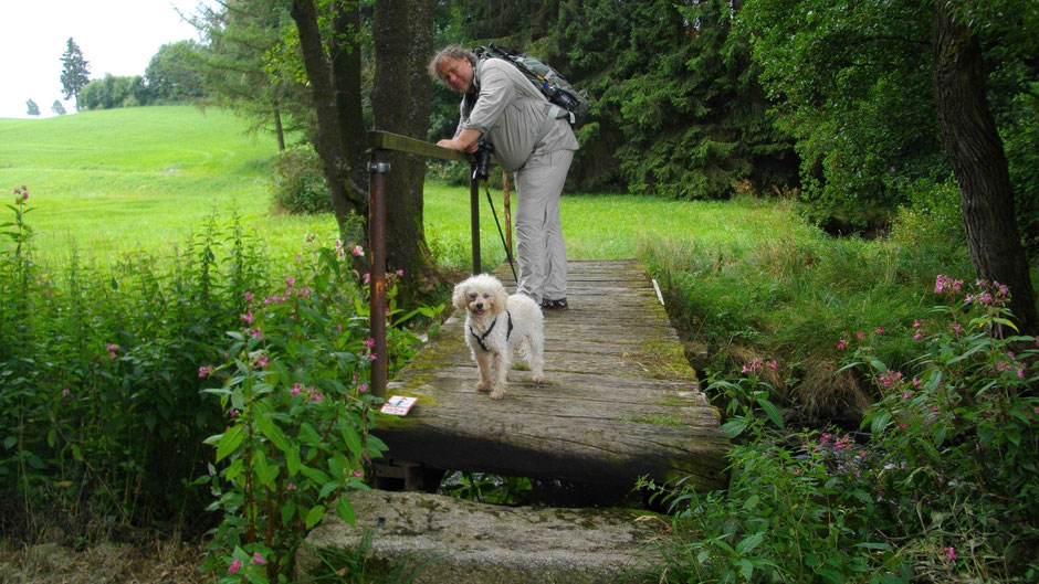 Auf dem Jean-Paul-Weg zwischen Oberkotzau und Schwarzenbach a.a. Saale