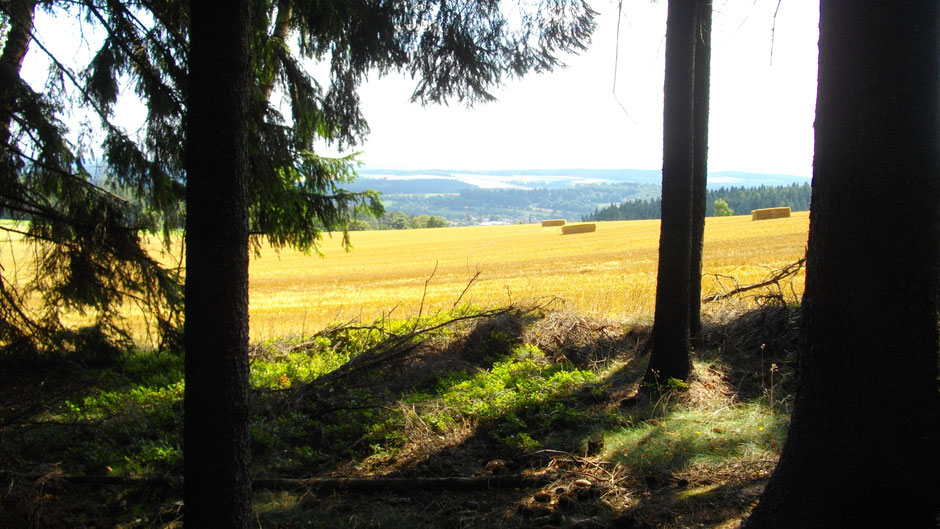 Auf dem Jean-Paul-Weg, vor Wunsiedel