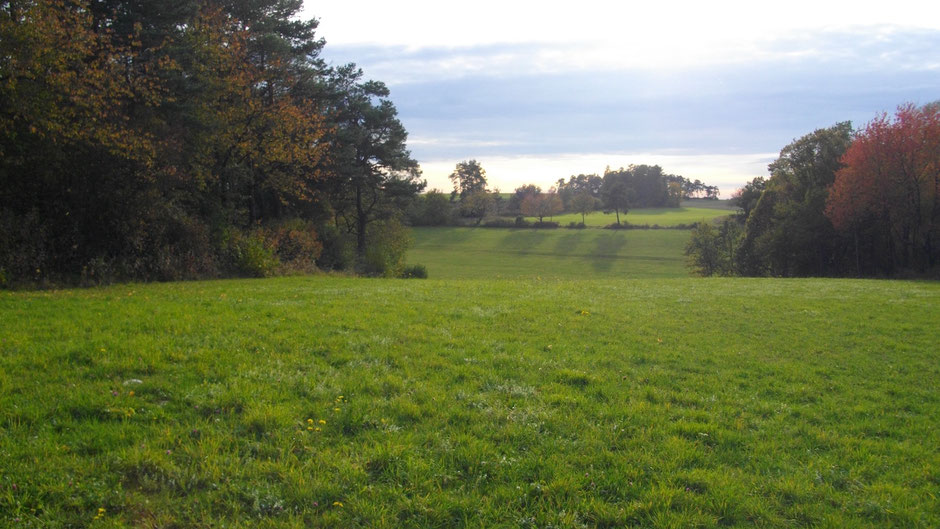 Zwischen Braunstein und Alladorf