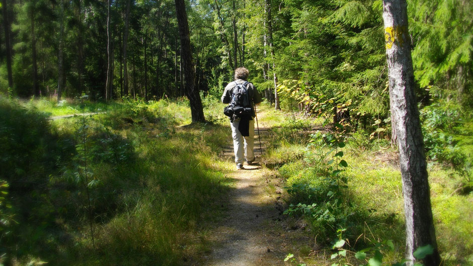 Auf dem Weg von Bad Alexandersbad zur Luisenburg