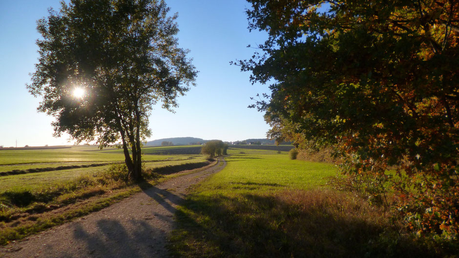 Auf dem Jean-Paul-Weg, Stationstafel 140 "Glück im Alltag" vor Oberwaiz