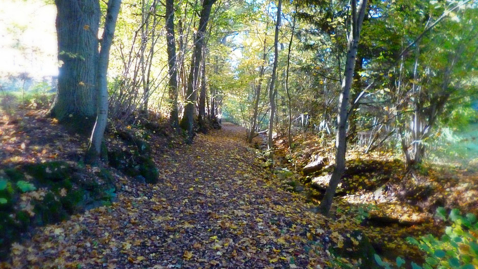 Auf dem Jean-Paul-Weg hinter Eckersdorf